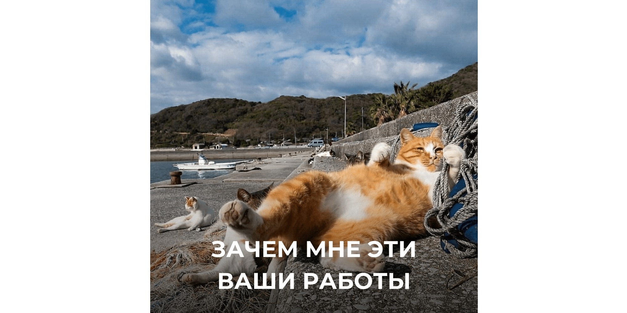 Зачем мне эти ваши работы